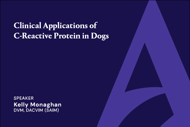 Clinical Applications of C-Reactive Protein in Dogs Webinar