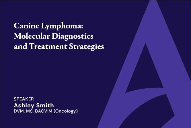Canine Lymphoma: Molecular Diagnostics and Treatment Strategies