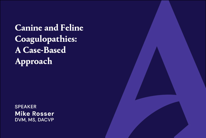Canine and Feline Coagulopathies: A Case-Based Approach