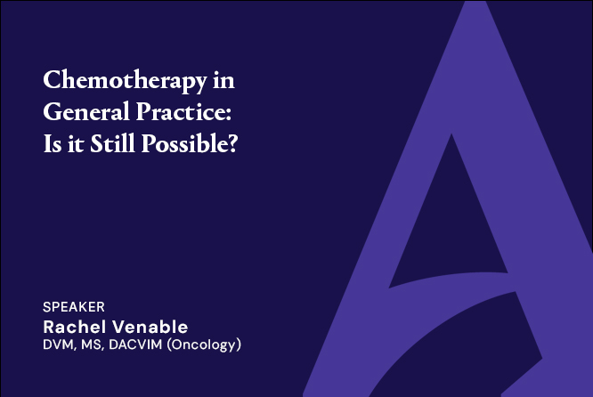 Chemotherapy in General Practice: Is it Still Possible?