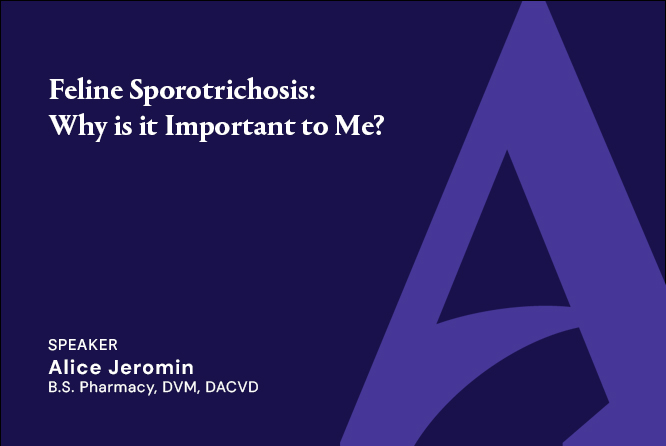 Feline Sporotrichosis: Why is it Important to Me?
