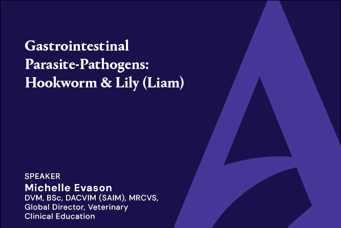 Gastrointestinal Parasite-Pathogens: Hookworm & Lily (Liam)