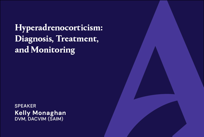Hyperadrenocorticism: Diagnosis, Treatment, and Monitoring