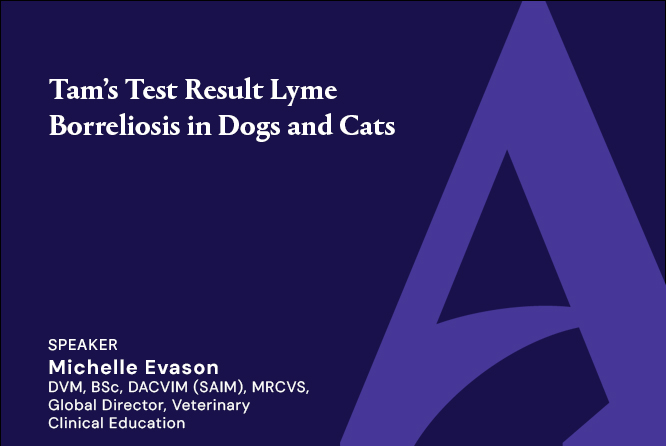 Tam’s Test Result Lyme Borreliosis in Dogs and Cats