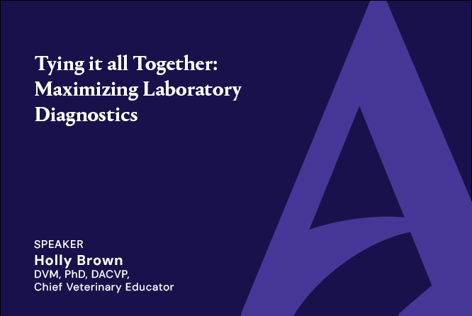 Tying it all Together: Maximizing Laboratory Diagnostics
