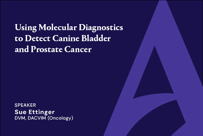 Using Molecular Diagnostics to Detect Canine Bladder and Prostate Cancer with Dr. Sue Ettinger