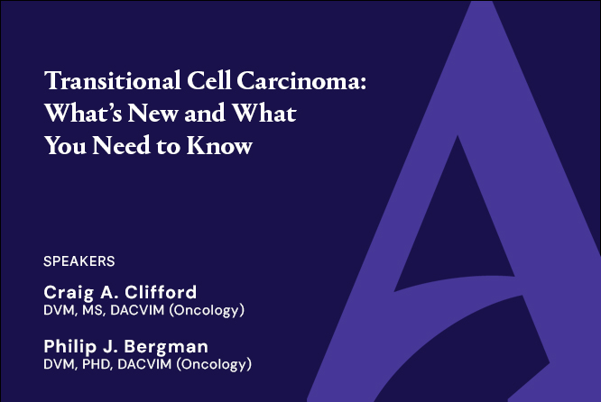 Transitional Cell Carcinoma: What’s New and What You Need to Know 
