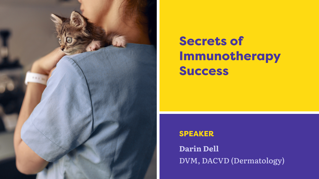 Les secrets du succès de l'immunothérapie