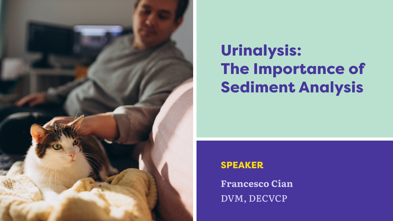 Analyse d'urine : l'importance de l'analyse des sédiments