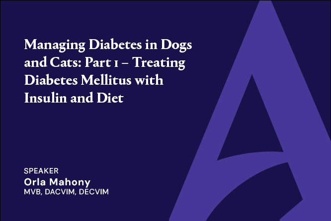 Managing Diabetes in Dogs and Cats: Part 1 – Treating Diabetes Mellitus with Insulin and Diet