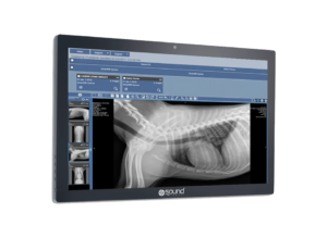 SmartPACS™ Veterinary Image Viewing Platform | Antech Diagnostics