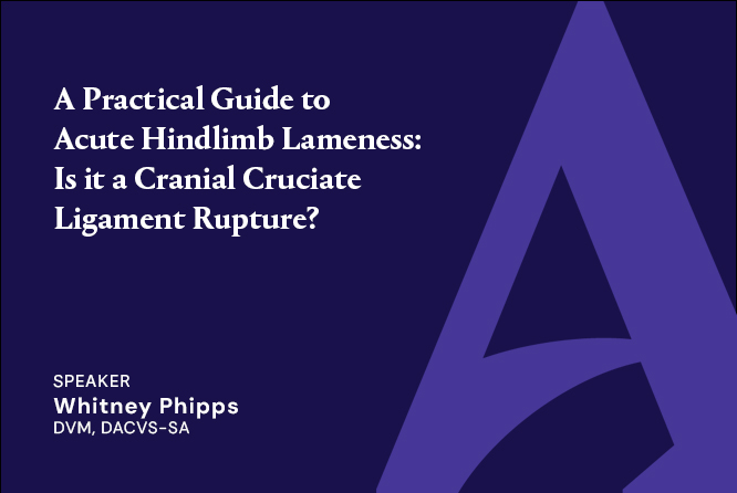 A Practical Guide to Acute Hindlimb Lameness: Is it a Cranial Cruciate Ligament Rupture?