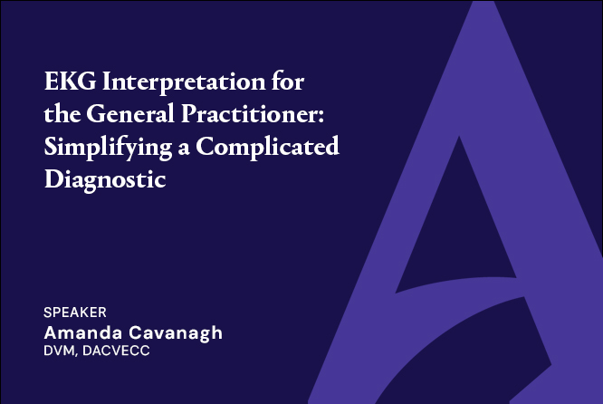 EKG Interpretation for the General Practitioner