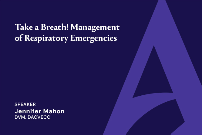 Take a Breath! Management of Respiratory Emergencies