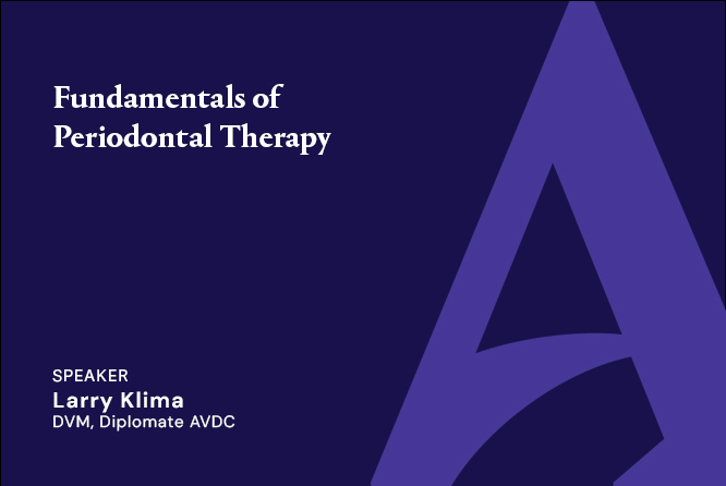 Fundamentals of Periodontal Therapy