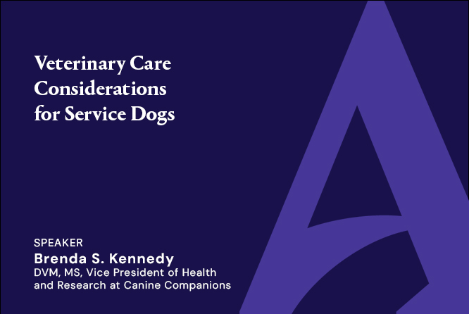 Veterinary Care Considerations for Service Dogs