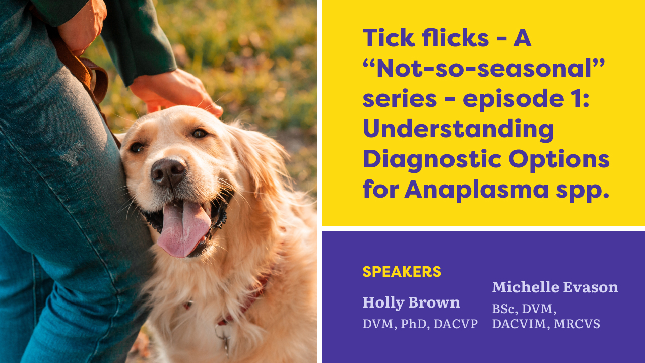 Tick Flicks – Une série « pas si saisonnière » : Épisode 1 : Comprendre les options de diagnostic pour Anaplasma spp.