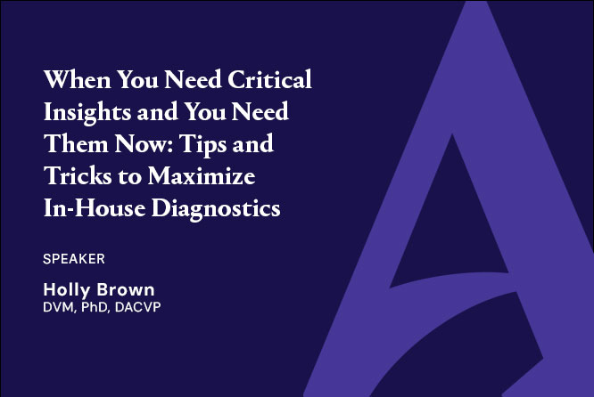 When You Need Critical Insights and You Need Them Now