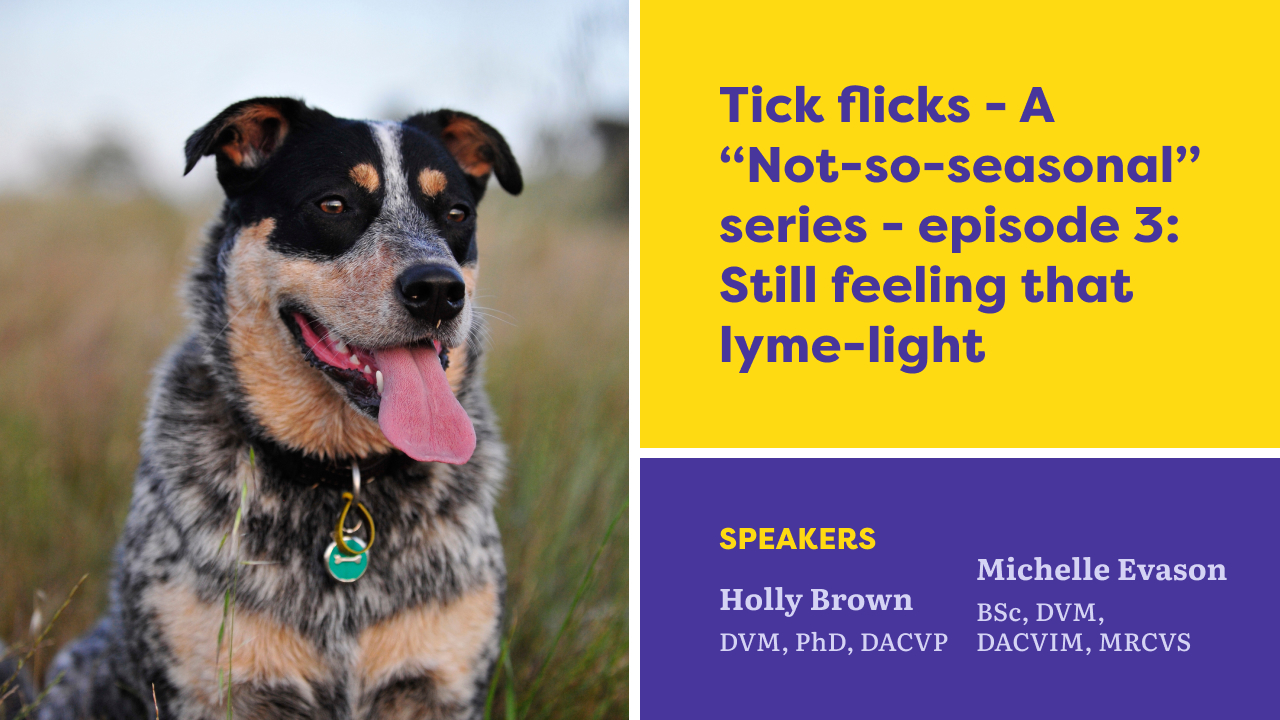Tick Flicks – A “Not-So-Seasonal” Series: Episode 3: Still Feeling That Lyme-Light?