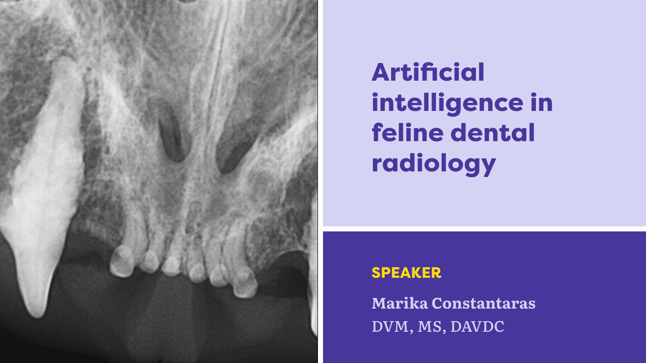 Artificial Intelligence in Feline Dental Radiology
