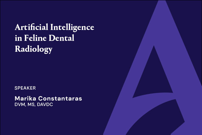 Artificial Intelligence in Feline Dental Radiology