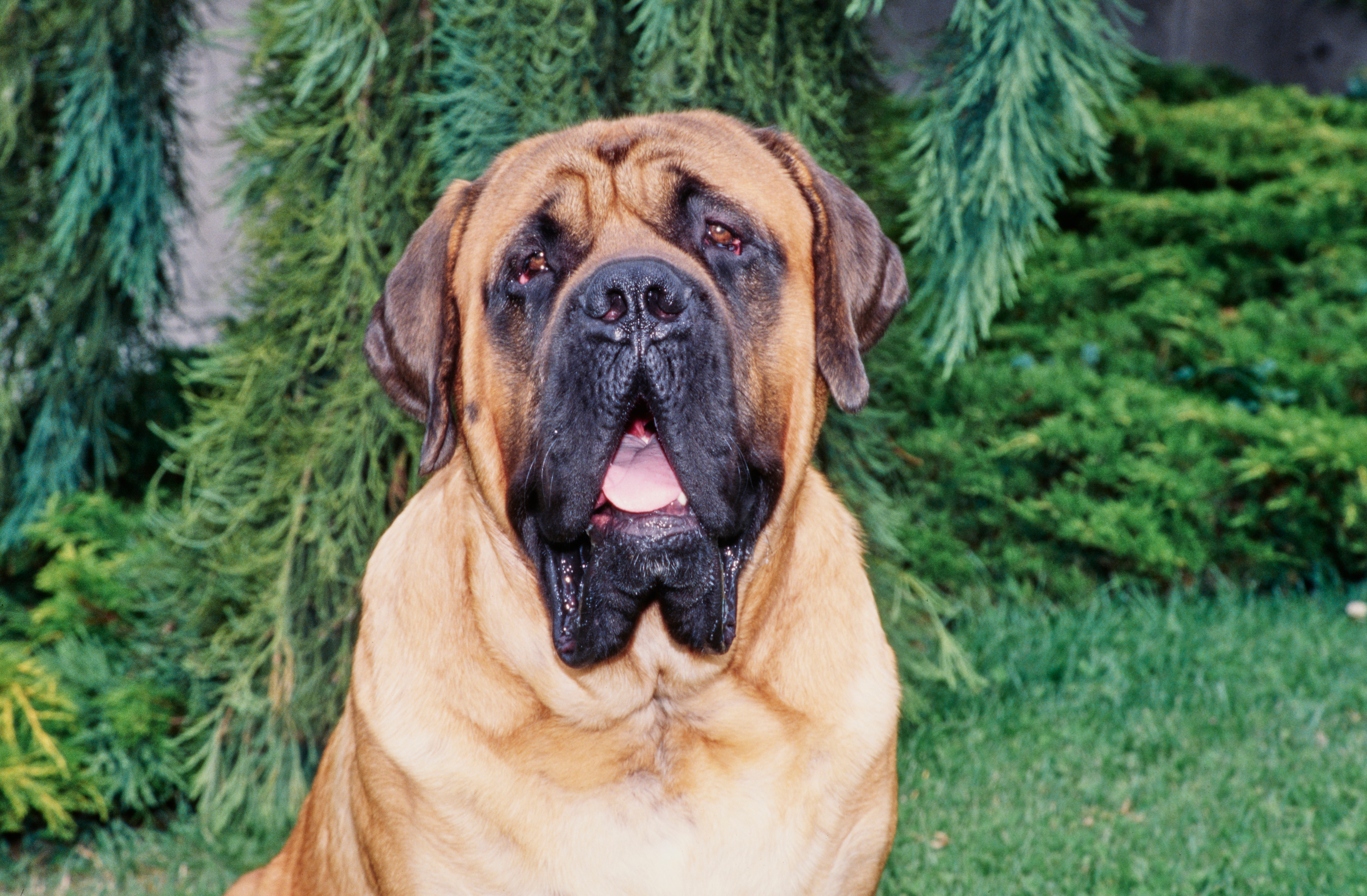 Double Trouble: Doug’s Wellness Screening Revealed Unexpected Duo of Vector-Borne Diseases