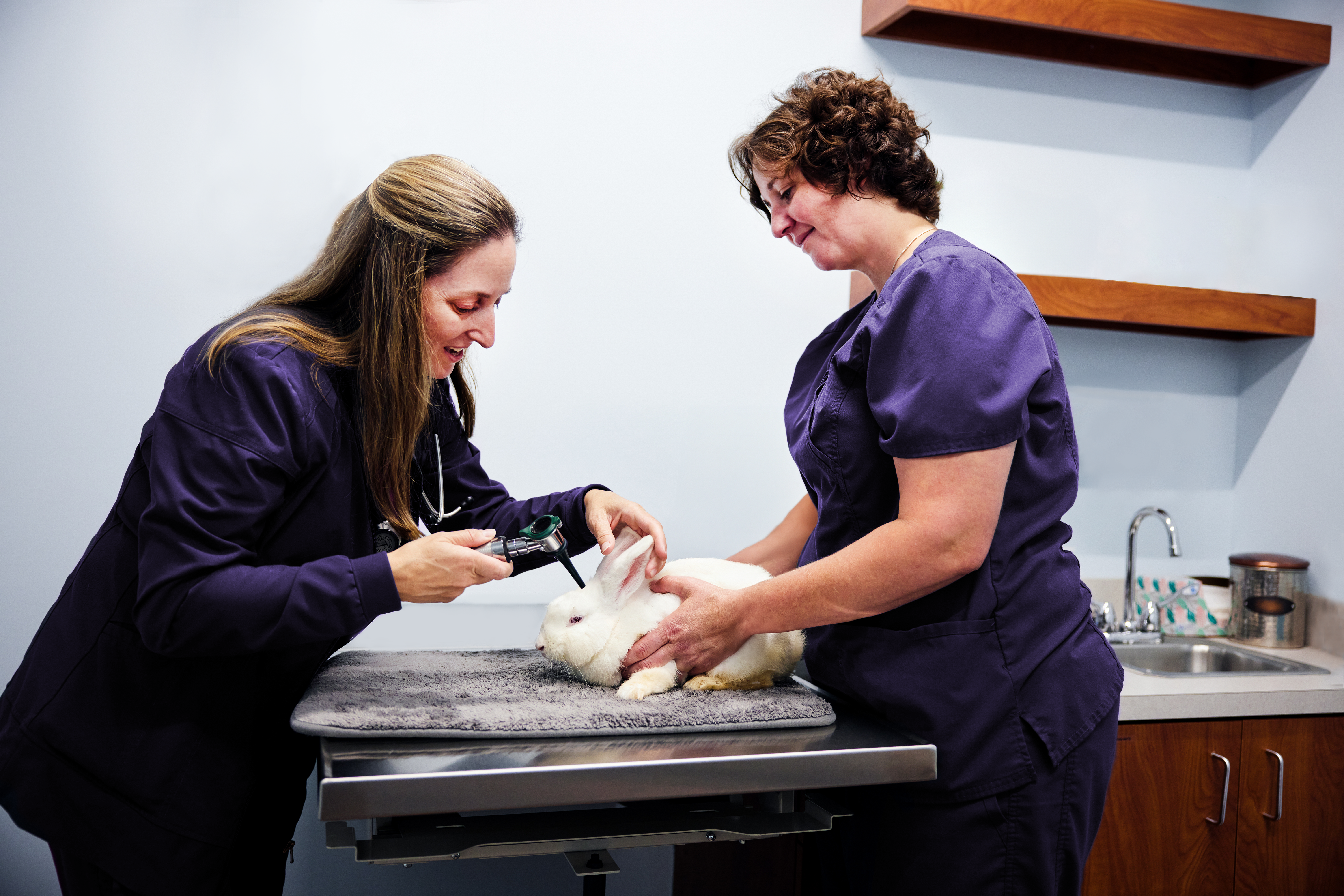 Mental Health in Veterinary Medicine Part Two: Boundaries and Saying No