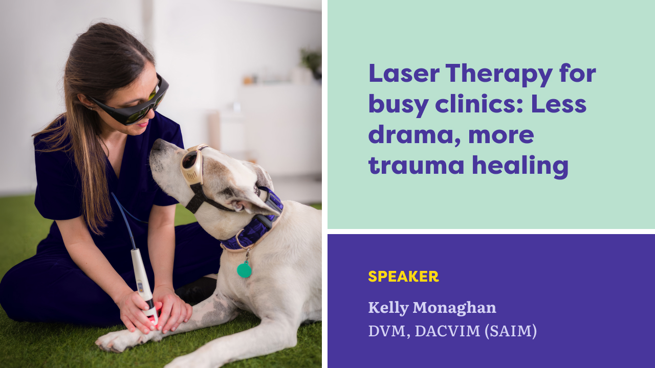 Laser Therapy for Busy Clinics: Less Drama, More Trauma Healing