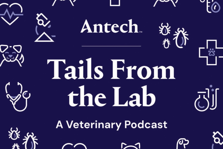 Mental Health in Veterinary Medicine Part Four: Self-Compassion and Perfectionism with Dr. Jen Brandt